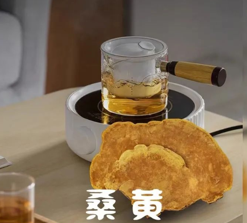 桑黄的正确吃法