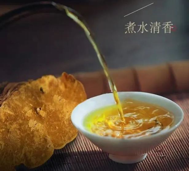  桑黄煮水喝的功效与作用，桑黄煮水可以天天喝